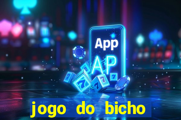 jogo do bicho crash bingo