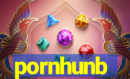 pornhunb