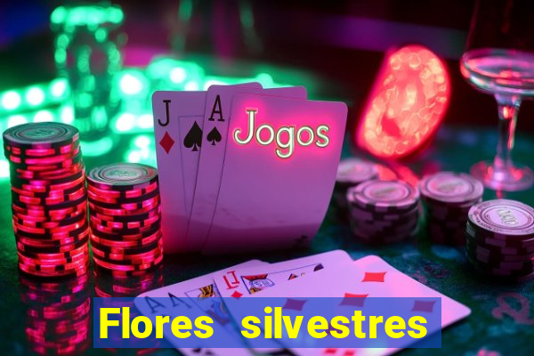 Flores silvestres brasileiras brasileiras flores silvestres nomes e imagens