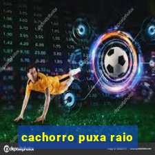 cachorro puxa raio