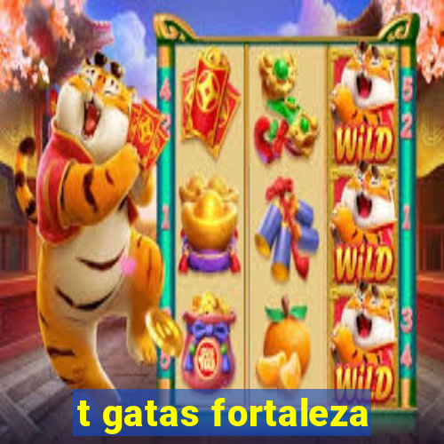 t gatas fortaleza