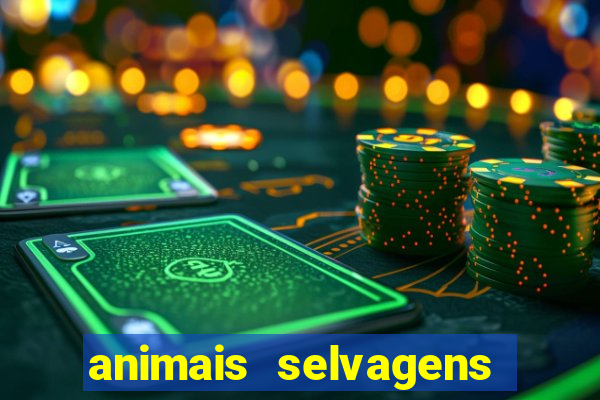 animais selvagens fotos e nomes